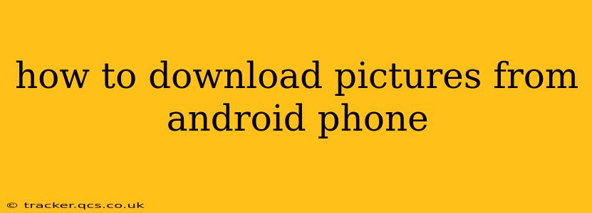 how to download pictures from android phone