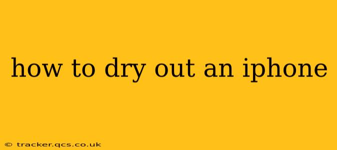 how to dry out an iphone