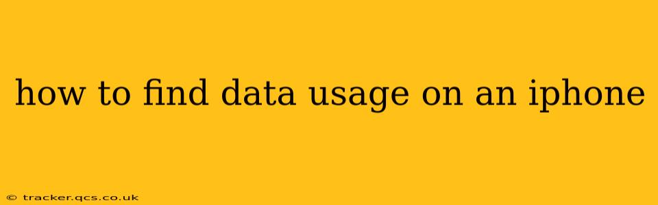 how to find data usage on an iphone