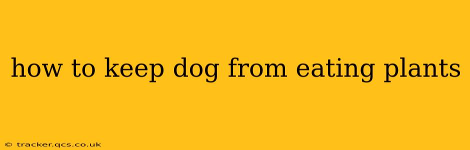 how to keep dog from eating plants