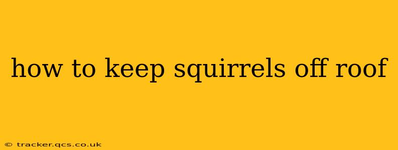 how to keep squirrels off roof