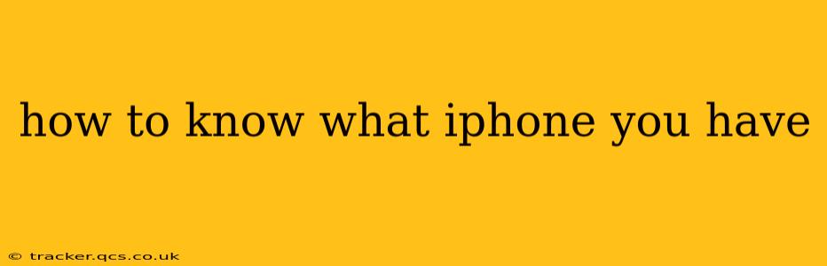 how to know what iphone you have