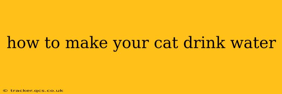 how to make your cat drink water