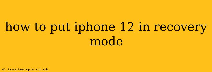 how to put iphone 12 in recovery mode