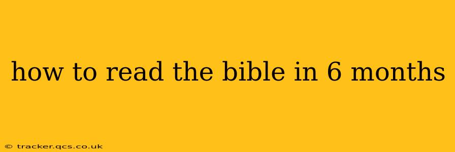 how to read the bible in 6 months