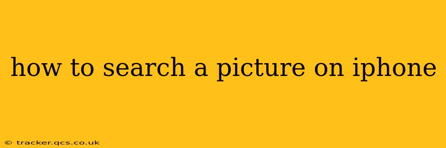 how to search a picture on iphone