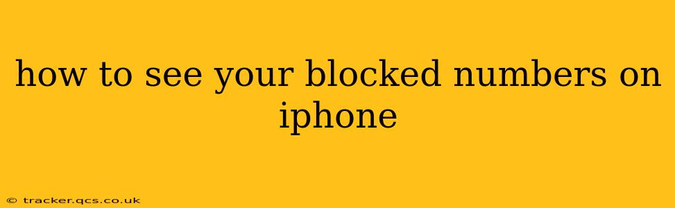 how to see your blocked numbers on iphone