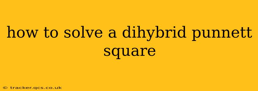 how to solve a dihybrid punnett square