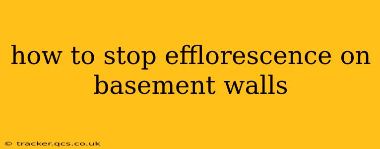 how to stop efflorescence on basement walls