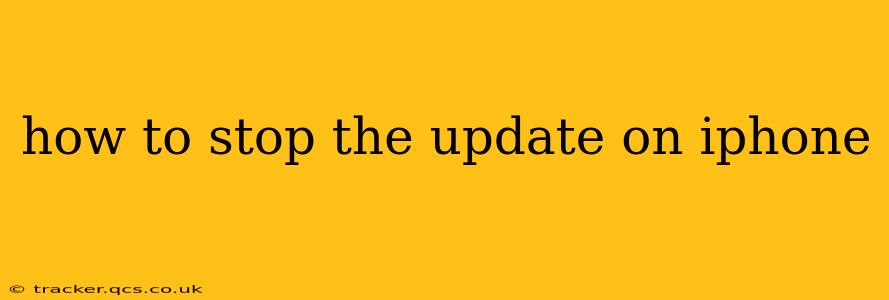how to stop the update on iphone