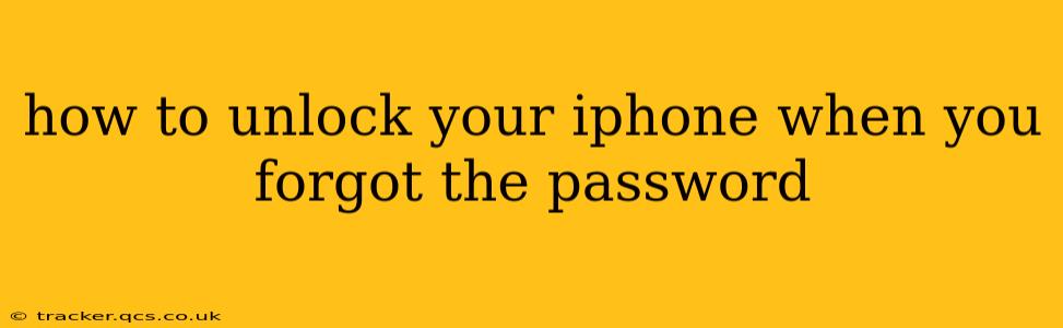 how to unlock your iphone when you forgot the password