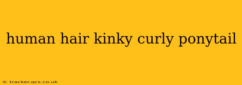 human hair kinky curly ponytail