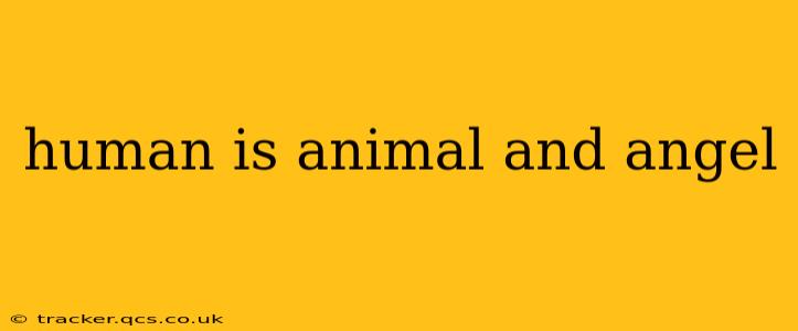 human is animal and angel