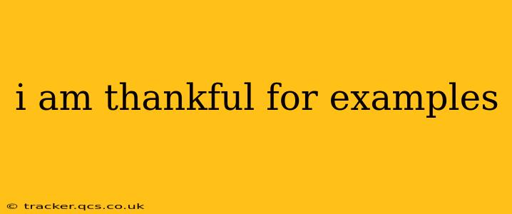 i am thankful for examples