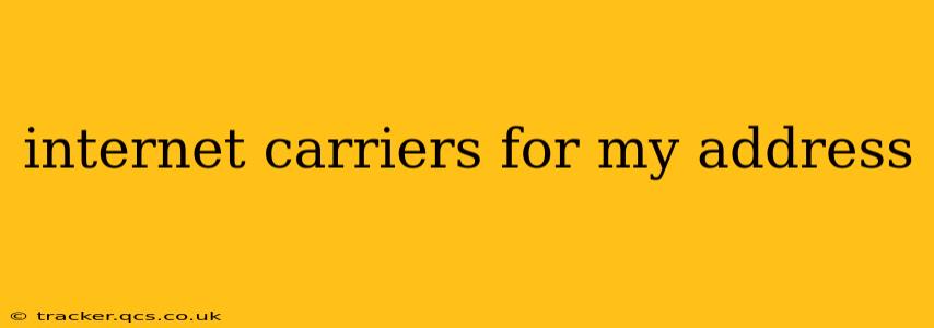 internet carriers for my address