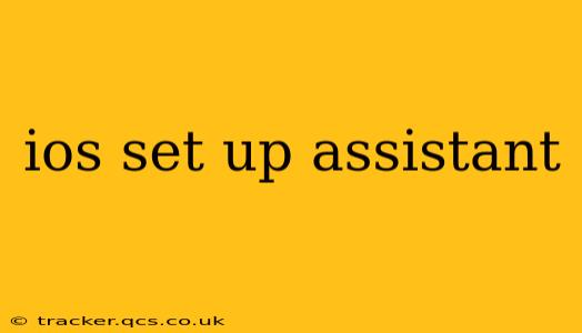 ios set up assistant