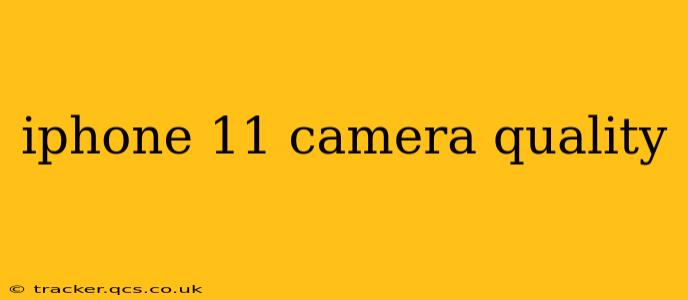 iphone 11 camera quality