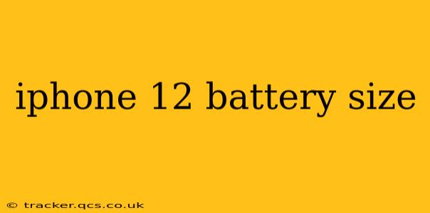 iphone 12 battery size