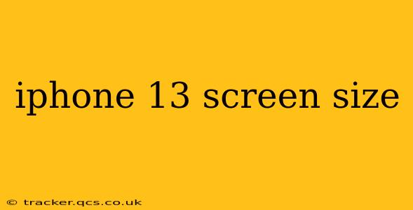 iphone 13 screen size