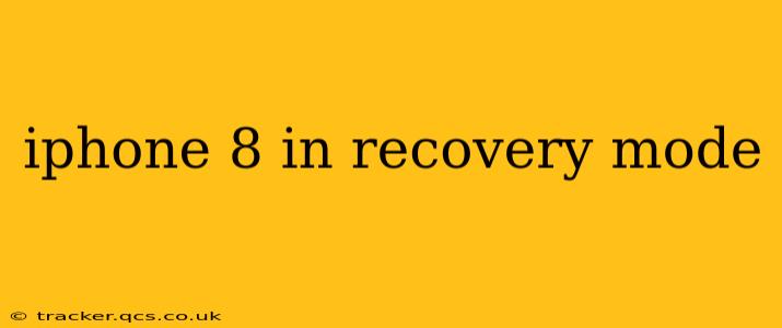 iphone 8 in recovery mode