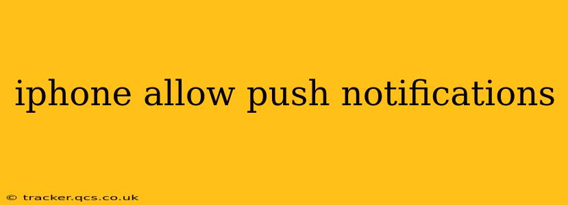 iphone allow push notifications