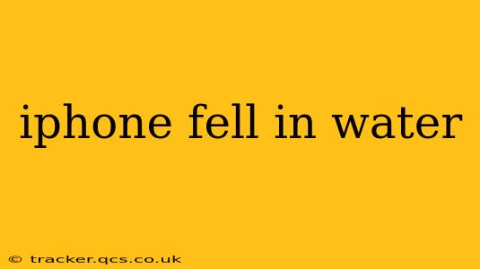 iphone fell in water