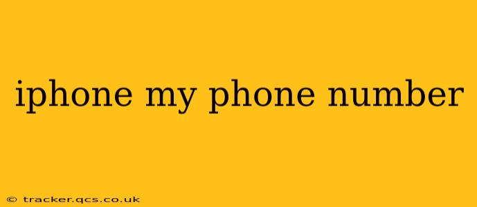 iphone my phone number