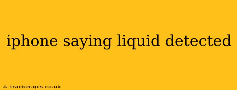 iphone saying liquid detected