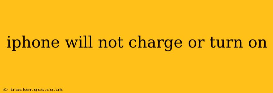 iphone will not charge or turn on