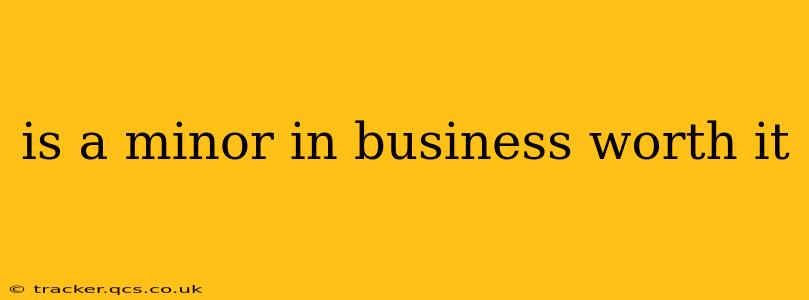 is a minor in business worth it