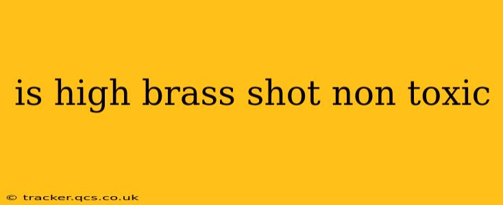 is high brass shot non toxic