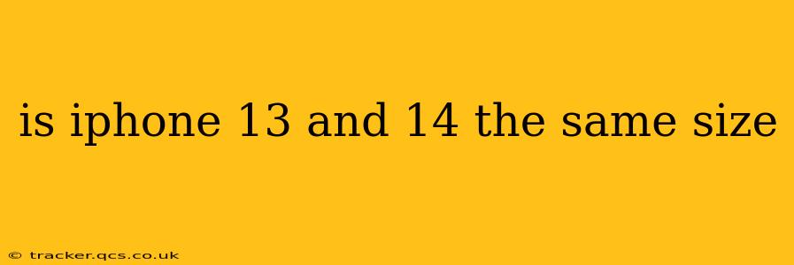 is iphone 13 and 14 the same size