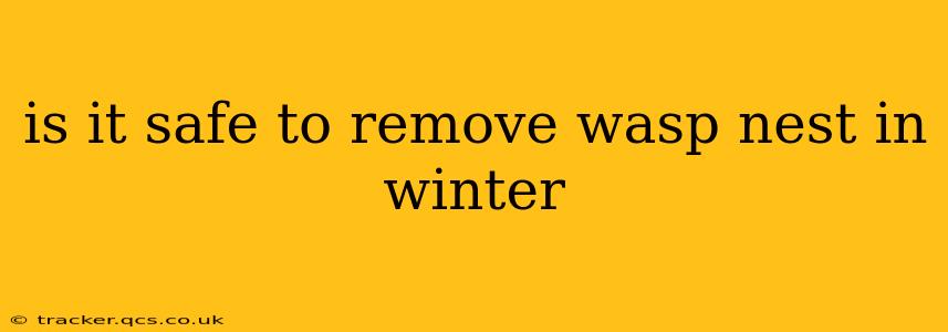 is it safe to remove wasp nest in winter