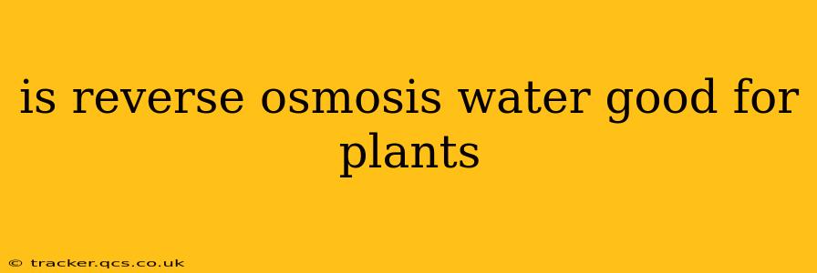 is reverse osmosis water good for plants