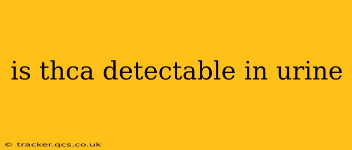 is thca detectable in urine