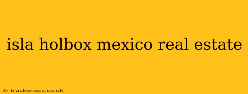 isla holbox mexico real estate