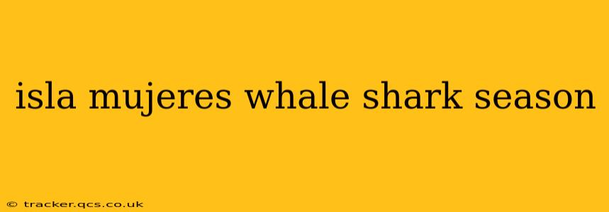 isla mujeres whale shark season