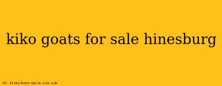 kiko goats for sale hinesburg