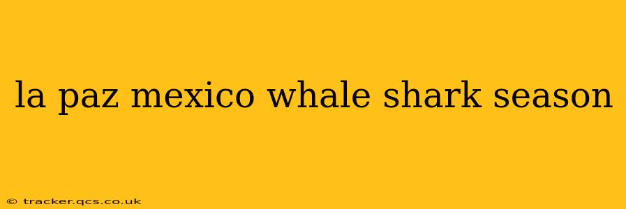 la paz mexico whale shark season