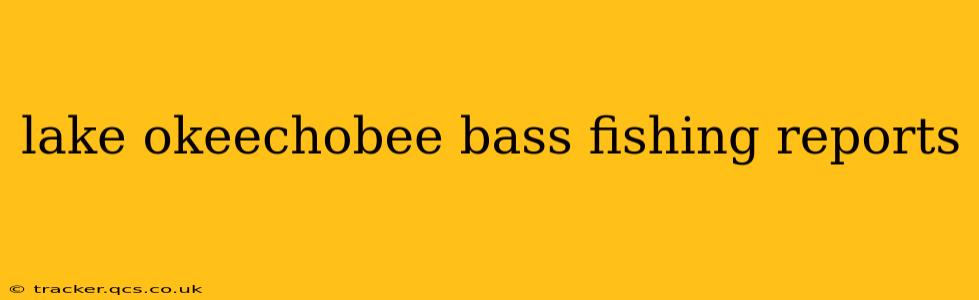 lake okeechobee bass fishing reports