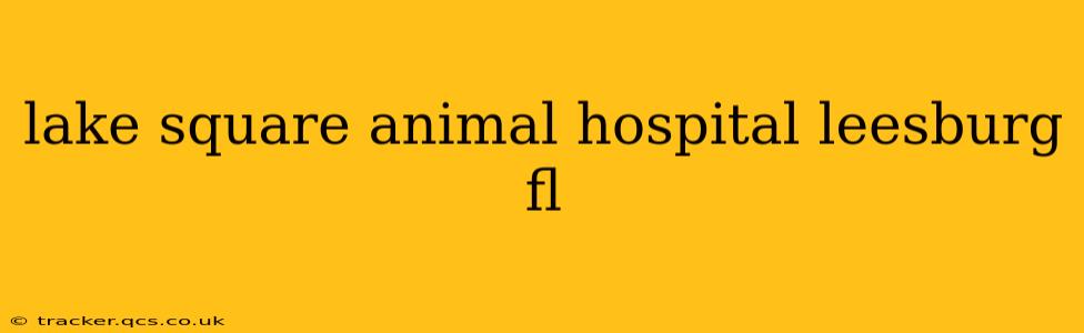 lake square animal hospital leesburg fl