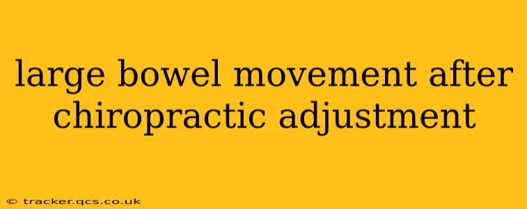 large bowel movement after chiropractic adjustment