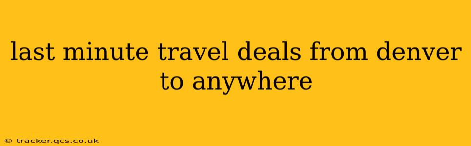 last minute travel deals from denver to anywhere
