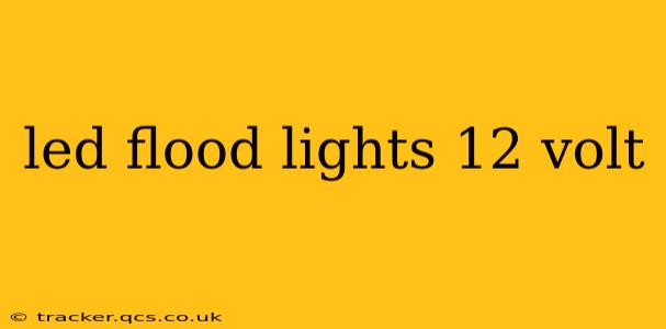 led flood lights 12 volt