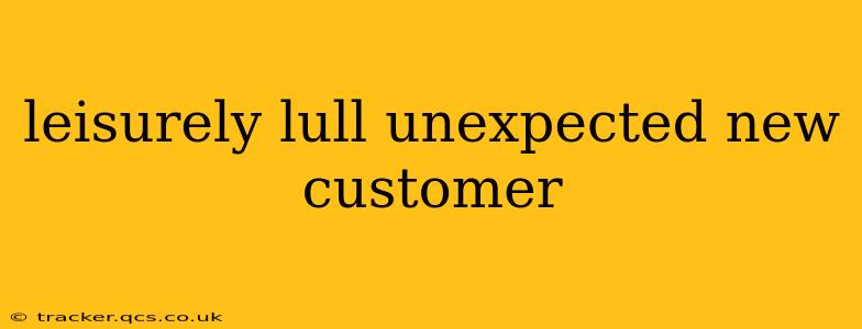 leisurely lull unexpected new customer