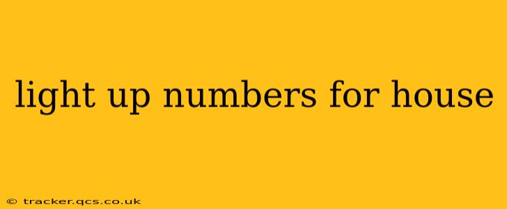 light up numbers for house