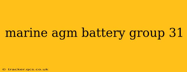 marine agm battery group 31