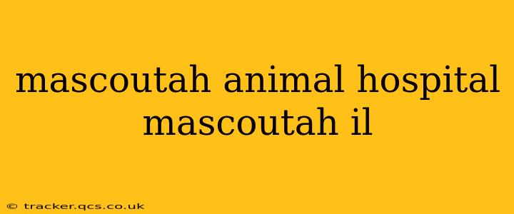 mascoutah animal hospital mascoutah il