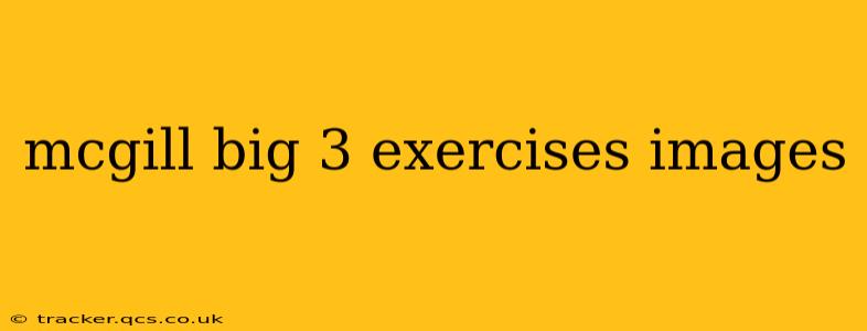 mcgill big 3 exercises images