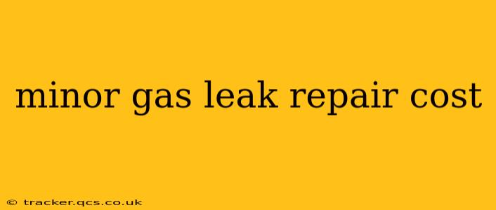 minor gas leak repair cost